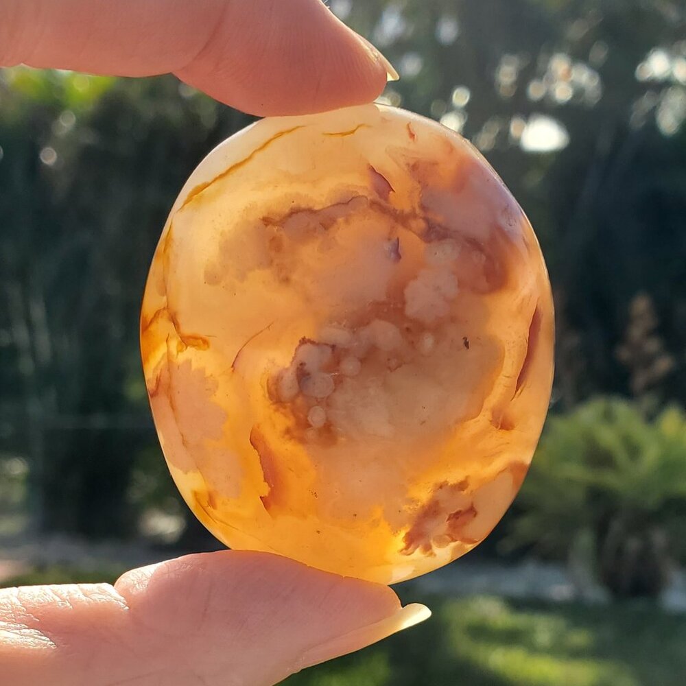 Flower Agate Palm Stone (117)